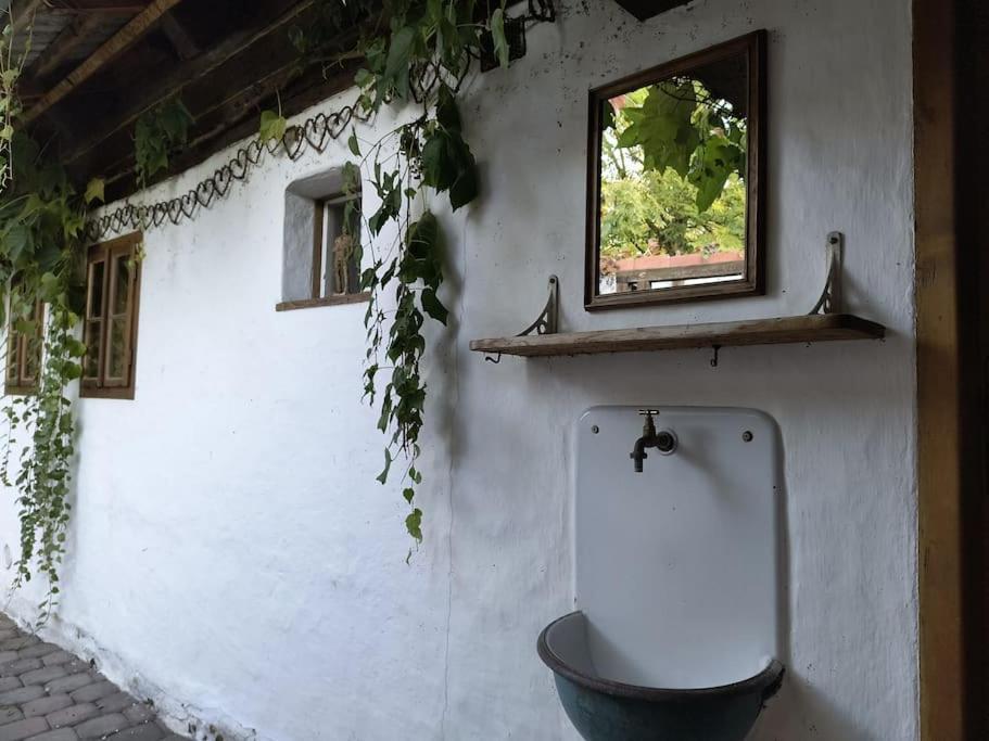 Chaloupka U Mostu Sv Jana V Centru Vodnan Vodňany Esterno foto